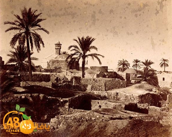 ramla and lud 18473 (9).jpg